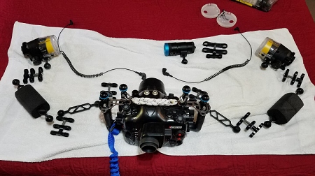 Step 1<br>Remove the strobes from their clamps and remove the fiber cables.  Remove the focus light and its clamp.