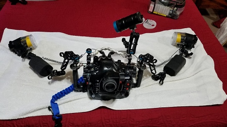 Here is the entire rig set up for macro.  (The dome port would be obvious).  Dual YS-D1 strobes on * and 5 inch arms with Stix floats.  Kraken 3500 focus light on top.  The blue strap attaches to me so I don't lose the camera underwater.