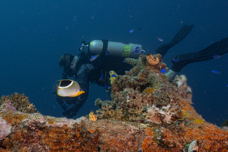 3/1/2023 - Dive 2 - Heian Maru<br><br>Traffic passing by