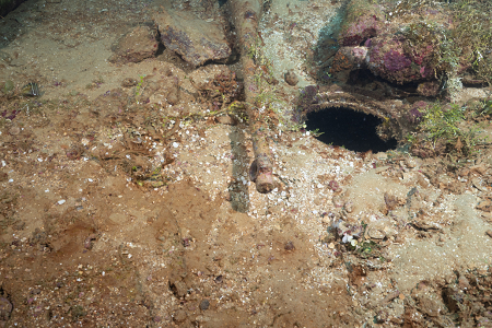 3/1/2023<br>That is a Japanese periscope - in fact it is an attach periscope which is smaller to leave less wake.   This shipwreck was a submarine tender with spare parts.