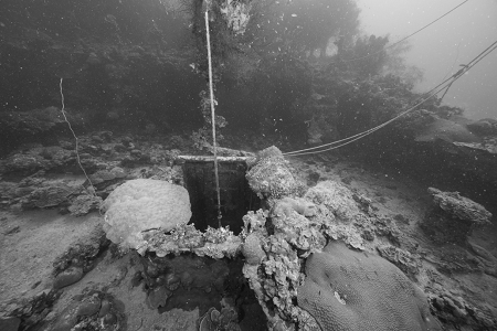 3/3/2023 - Dive 3 - Shinkoku Maru