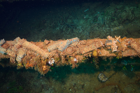 3/3/2023<br>There were a lot of machine gun bullets in this hold.  The Japanese guns of the time used long clips rather than belts.  Divers have collected some of the bullets and laid them out for display.