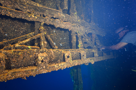 3/4/2023<br>Hard to tell, but the divemaster is pointing at several Japanese machine guns, or what is left of them.