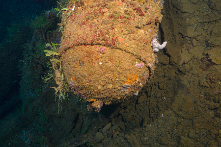 3/4/2023<br>That is the warhead of a Japanese Long Lance torpedo