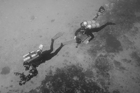 3/4/2023<br>That's Russ in front with a scooter and a camera.  Becca is getting a fin tow.<br>It's useful to have a scooter when using a rebreather as they can only take up so much carbon dioxide per minute.   it's possible to swim too hard and overwhelm the rebreather, leading to unconsciousness.