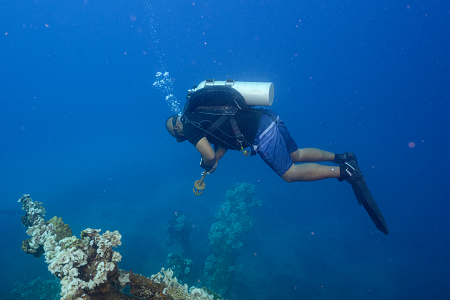 3/4/2023<br>Divemaster found some object and is cleaning it a bit.