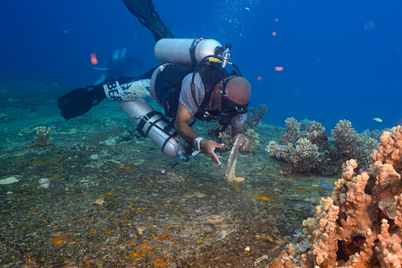 3/4/2023<br>Divemaster finds a porthole.