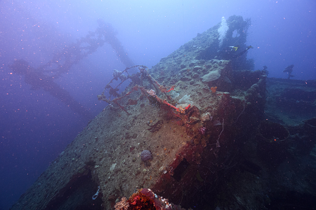 3/7/2023 - Dive 10 - Nippo Maru