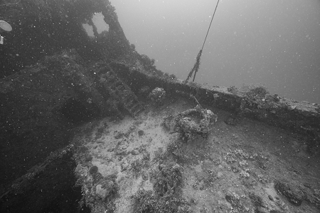 3/8/2023 - Dive 11 - Shinkoku Maru