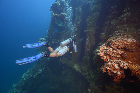 3/8/2023 - Dive 12 - Heian Maru