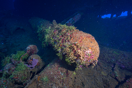 3/8/2023<br>A Japanese Long Lance torpedo.  I think those are naval mines below it.