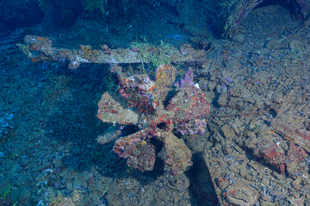 3/8/2023<br>Torpedo propeller