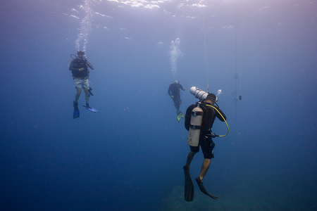 3/9/2023<br>Safety stop at the end of every dive.