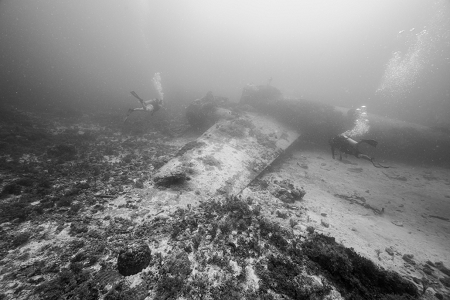 3/9/2023<br>The remains of the Betty Bomber, in murky conditions.