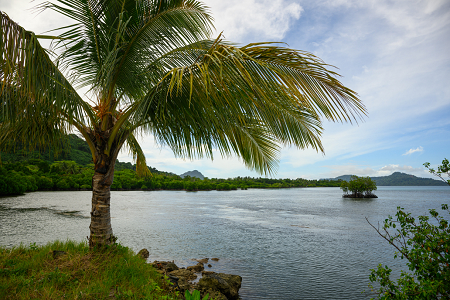 3/11/2023<br>A view from a beach on a $50 'tour' of the island.  Glad I went as I at least saw something, but wouldn't do it twice.