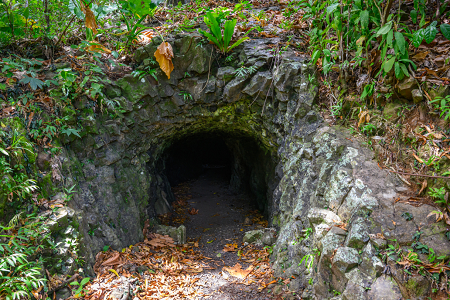 3/11/2023<br>The height of the island trip was a visit to the cave of the big Japanese gun.  They didn't tell me I had to climb through humid jungle to get there.  And the entry fee went up to $10 each...